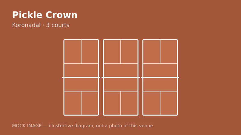 Mock court diagram for Pickle Crown Mock court diagram for Pickle Crown