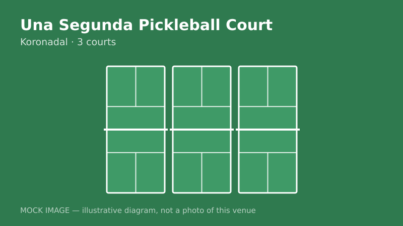 Mock court diagram for Una Segunda Pickleball Court Mock court diagram for Una Segunda Pickleball Court