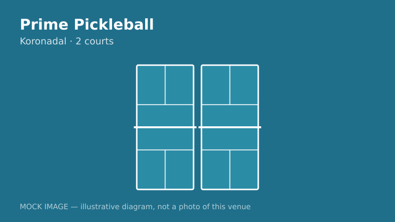 Mock court diagram for Prime Pickleball Mock court diagram for Prime Pickleball