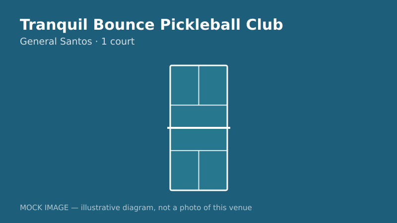 Mock court diagram for Tranquil Bounce Pickleball Club Mock court diagram for Tranquil Bounce Pickleball Club